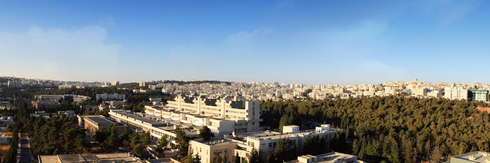 Mosque of the University of Jordan